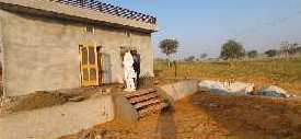  Farm House 23 Acre for Sale in Sardarshahar, Churu