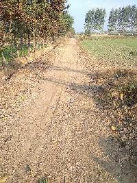  Agricultural Land for Sale in Village Gharothi, Rohtak, Rohtak