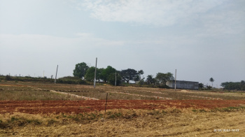  Residential Plot for Sale in Balianta, Bhubaneswar