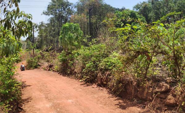  Residential Plot 20000 Sq.ft. for Sale in Pawas, Ratnagiri
