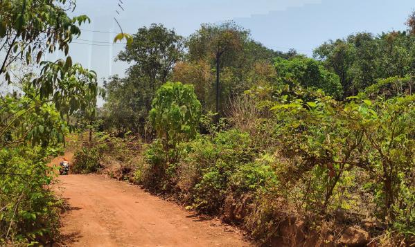  Residential Plot 20000 Sq.ft. for Sale in Pawas, Ratnagiri
