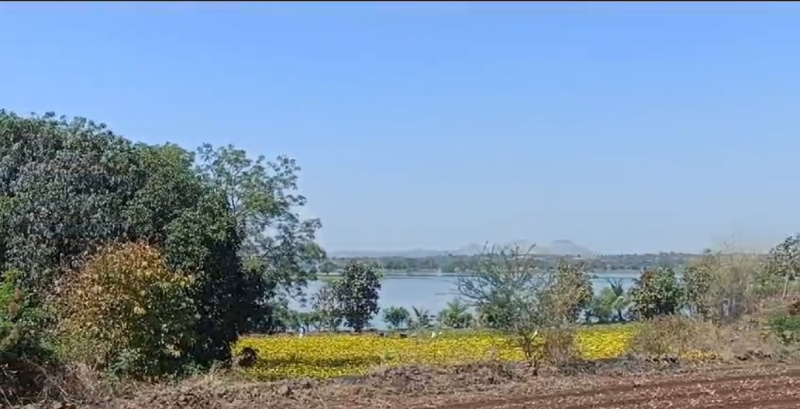  Residential Plot 1 Acre for Sale in Dyane, Nashik