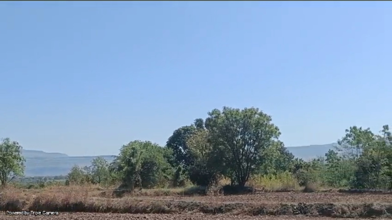  Residential Plot 1 Acre for Sale in Dyane, Nashik