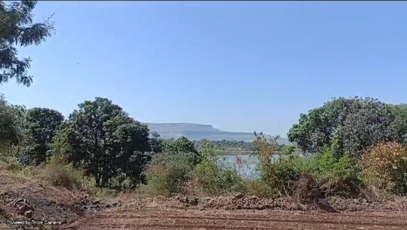  Residential Plot 1 Acre for Sale in Dyane, Nashik
