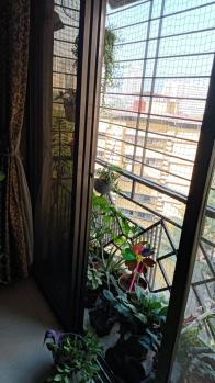 1 BHK Flat for Rent in Mulund East, Mumbai