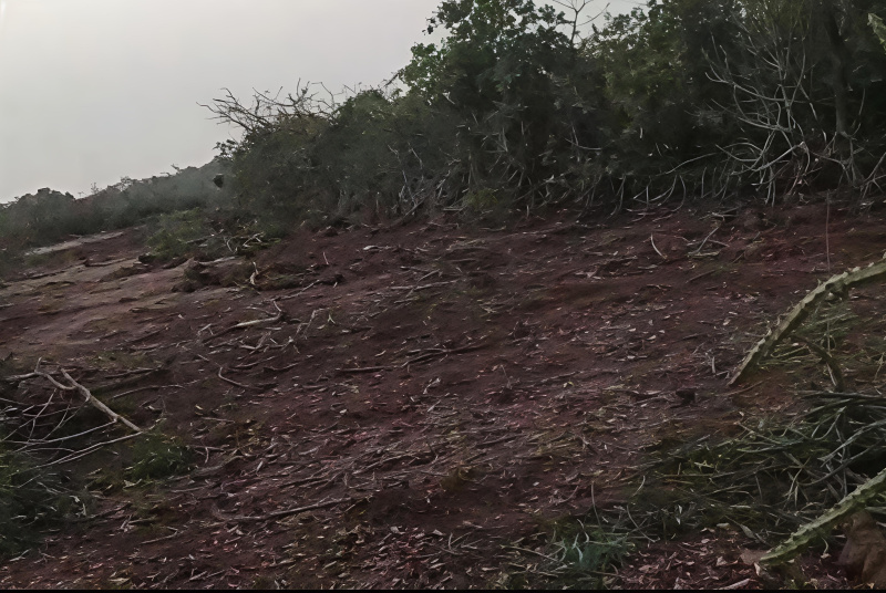  10000 Sq.ft. Residential Plot for Sale in Pawas, Ratnagiri