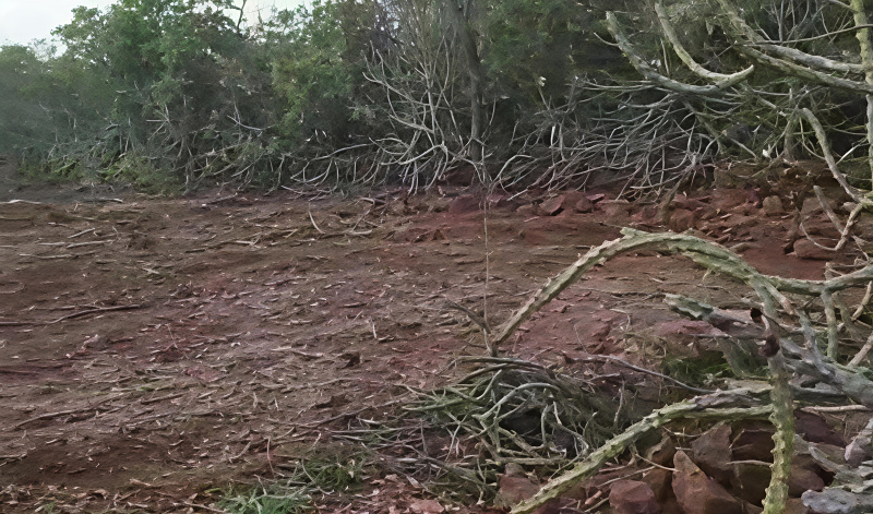  10000 Sq.ft. Residential Plot for Sale in Pawas, Ratnagiri