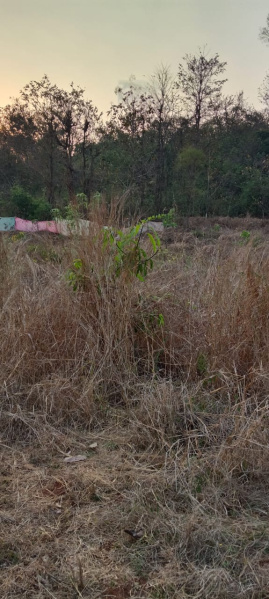  1 Acre Industrial Land for Sale in Ghodbunder Road, Thane