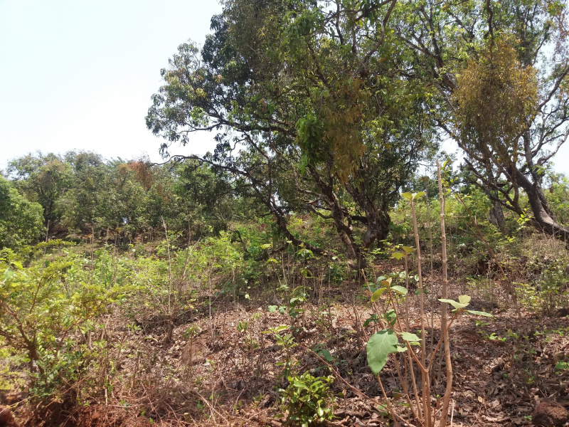  8094 Sq.ft. Industrial Land for Sale in Ghodbunder Road, Thane