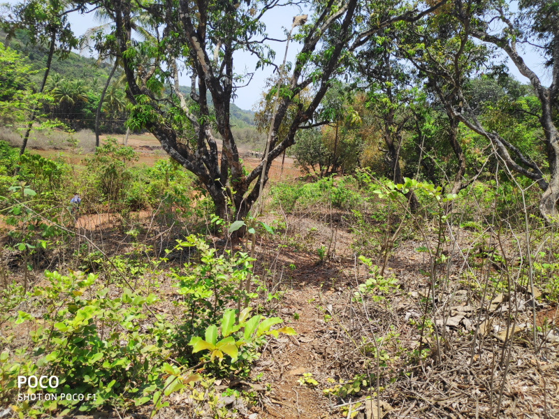  8094 Sq.ft. Industrial Land for Sale in Ghodbunder Road, Thane