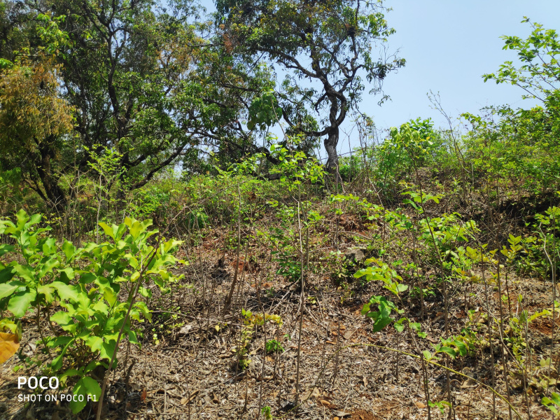  8094 Sq.ft. Industrial Land for Sale in Ghodbunder Road, Thane