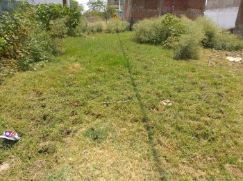  Commercial Land for Sale in Mauranipur, Jhansi