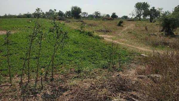  Agricultural Land 2 Acre for Sale in Ibrahimpatnam, Hyderabad