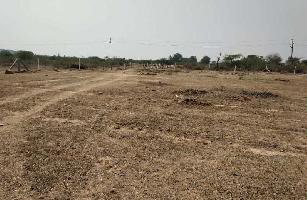  Agricultural Land for Sale in Amangal, Rangareddy