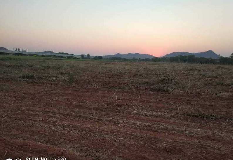  Agricultural Land 10 Acre for Sale in Amangal, Hyderabad