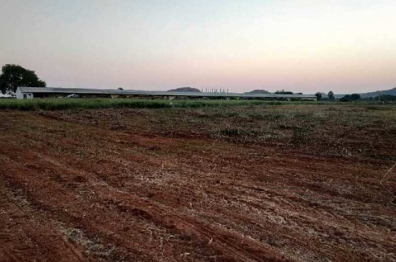  Agricultural Land 10 Acre for Sale in Amangal, Hyderabad