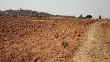 Agricultural Land for Sale in Amangal, Hyderabad