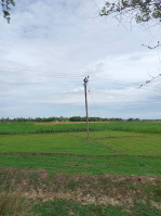  Residential Plot for Sale in Balurghat, Dakshin Dinajpur