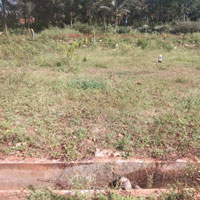  Commercial Land for Sale in Channarayapatna, Hassan