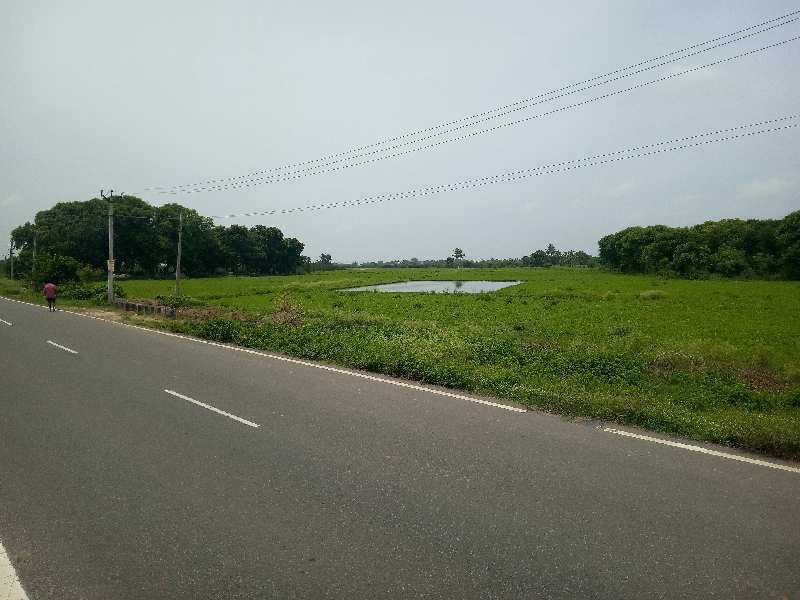 Agricultural Land 18 Ares for Sale in Kakkalur, Thiruvallur