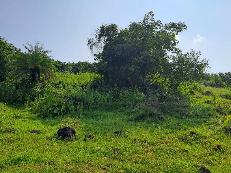 Alibag, Raigad photo 2