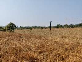  Residential Plot for Sale in Padgha, Thane
