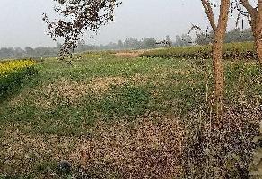  Agricultural Land for Sale in Sarai Mir, Azamgarh