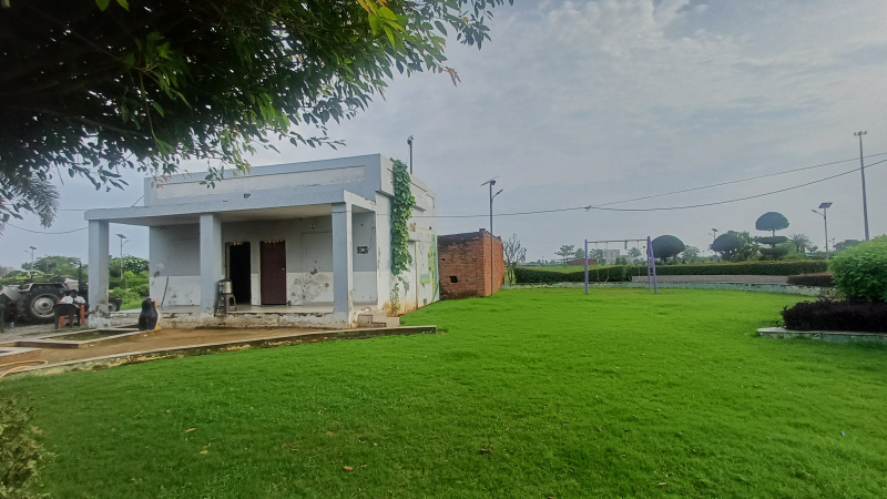 Joya, Amroha photo 2