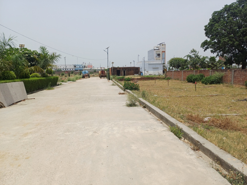 Joya, Amroha photo 5