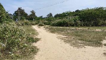  Agricultural Land for Sale in Kuppam, Chittoor