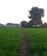  Agricultural Land for Sale in Vidhyanagar, Anand