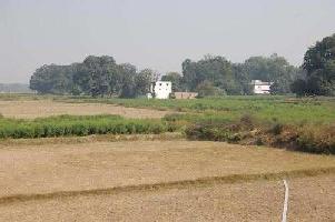  Residential Plot for Sale in Vidhyanagar, Anand