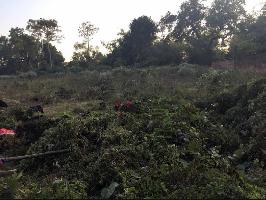  Residential Plot for Sale in Baliapur, Dhanbad