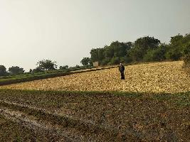  Agricultural Land for Sale in Navagam Ghed, Jamnagar