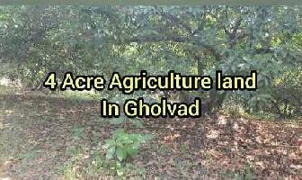  Agricultural Land for Sale in Gholvad, Palghar