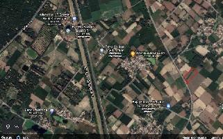  Agricultural Land for Sale in Sidhauli, Sitapur