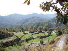  Residential Plot for Sale in Hathipaon, Mussoorie, Dehradun