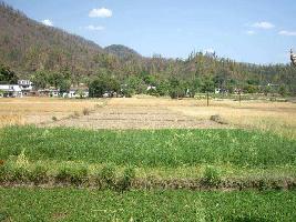  Agricultural Land for Sale in Rest Camp, Dehradun