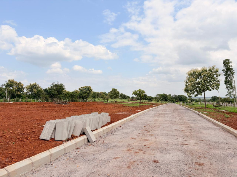 Shankarpally, Rangareddy photo 3