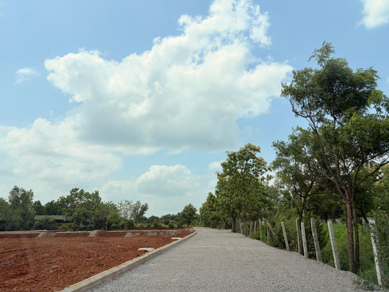 Shankarpally, Rangareddy photo 4