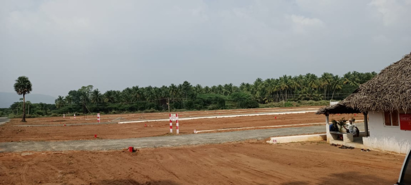  Residential Plot 700 Sq.ft. for Sale in Natham, Dindigul