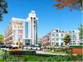  Commercial Shop for Sale in Sector 115 Mohali