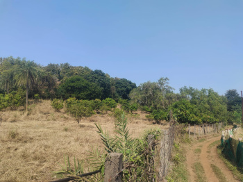 Agricultural Land for Sale in Saphale, Palghar