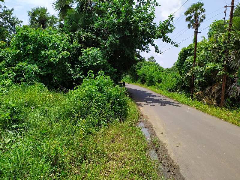 Farm Land for Sale in Shirgaon, Palghar (REI979560)