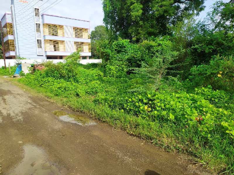 Farm Land for Sale in Tembhode, Palghar (REI979567)
