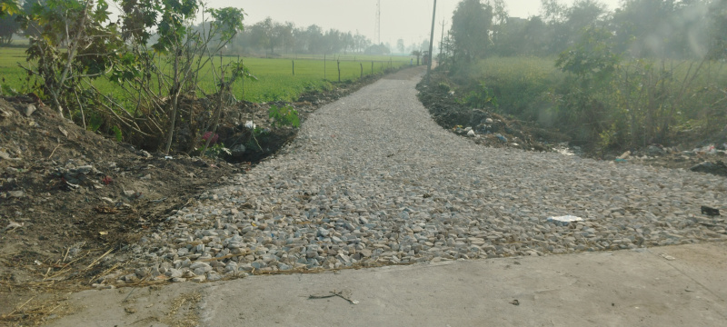  22 Biswa Agricultural/Farm Land for Sale in Gangaganj, Lucknow