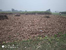  Agricultural Land for Sale in Kheri, Lakhimpur Kheri