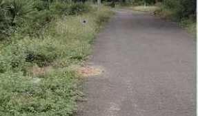 Residential Plot 1200 Sq.ft. for Sale in Vandavasi, Tiruvannamalai