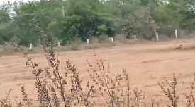  Commercial Land for Sale in Jangaon, Warangal