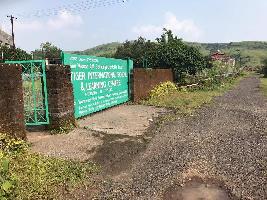  Residential Plot for Sale in Saswad Road, Pune